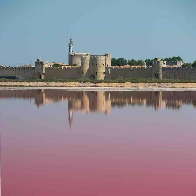 Maison Chaleureuse A 5 Mins Des Remparts