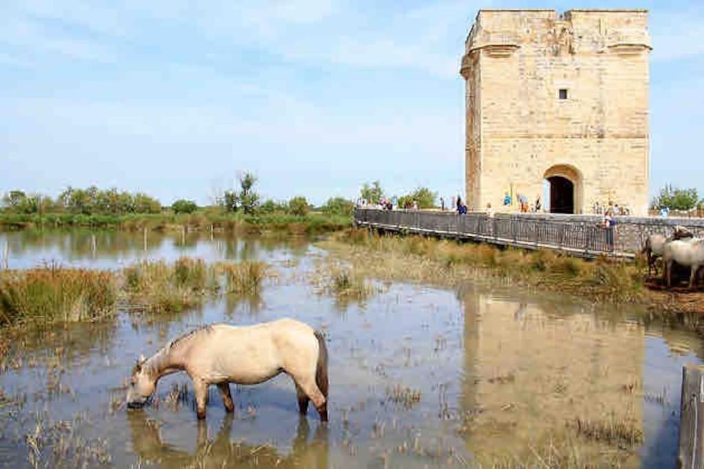 Maison Chaleureuse A 5 Mins Des Remparts * Aigues-Mortes